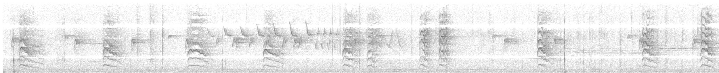 Pic maculé - ML638339969