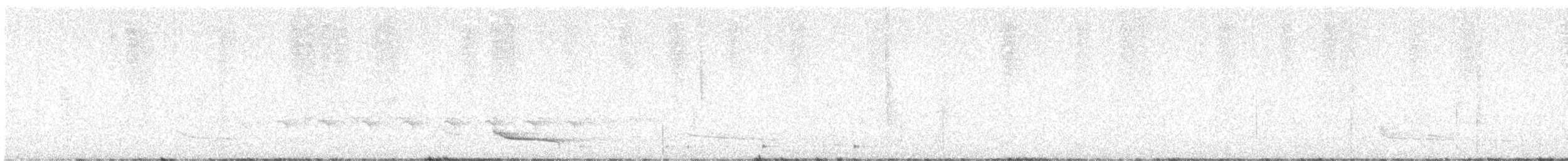 Leymebamba Antpitta - ML638340369