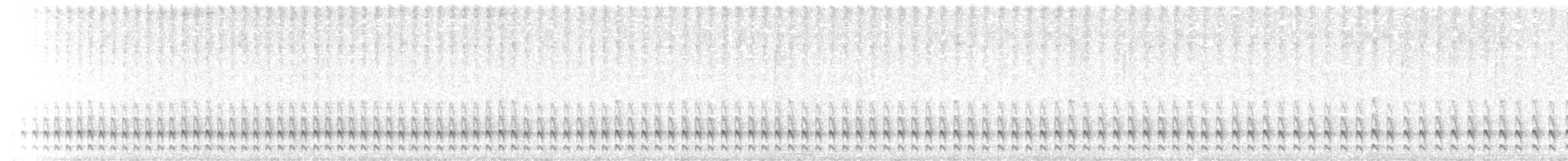 Ash-colored Tapaculo - ML638340373