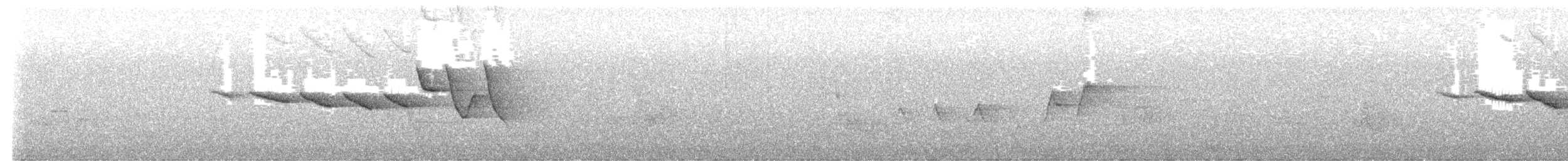 Swainson's Warbler - ML638340516