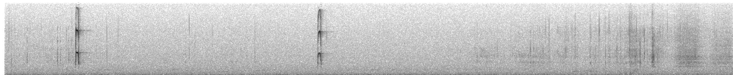 datel páskovaný - ML638342208
