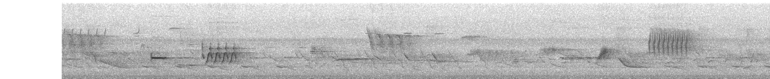 pipilo rudooký - ML638342382