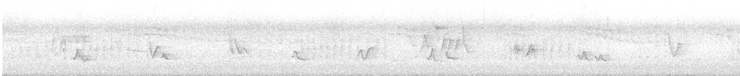 Vireo begigorria - ML638343620