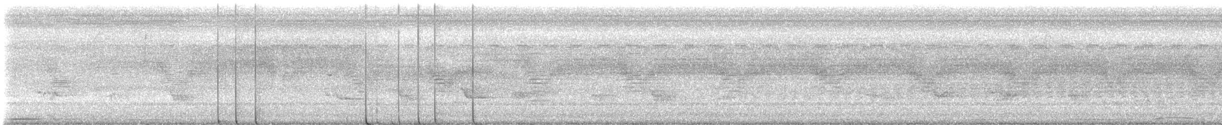 קיכלי נודד - ML638343727
