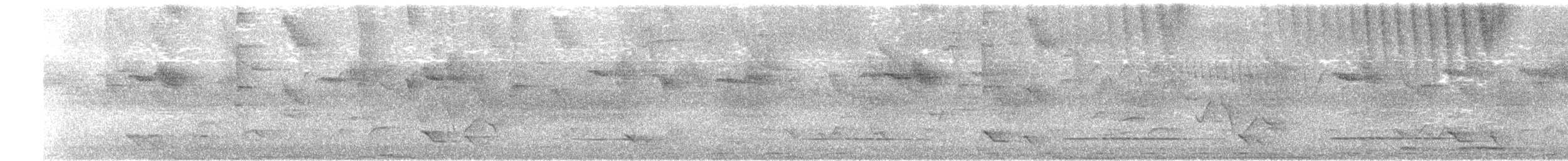 småtinamu - ML638343757