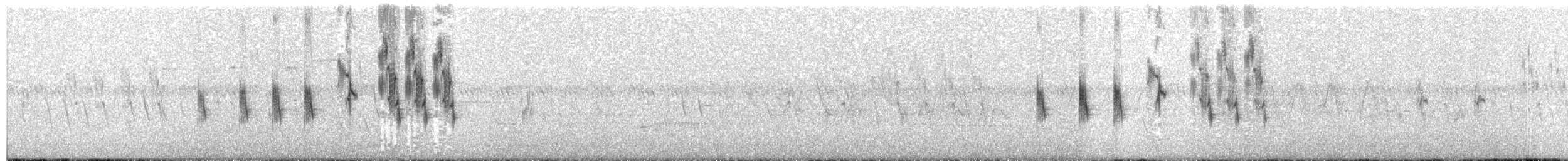 דיקסיסל - ML638343905