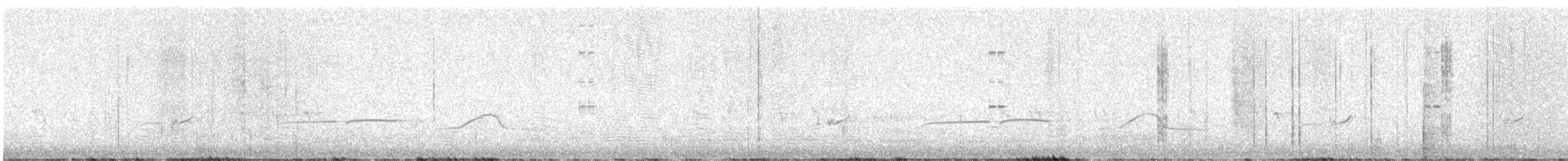 Greater Pewee - ML638344161