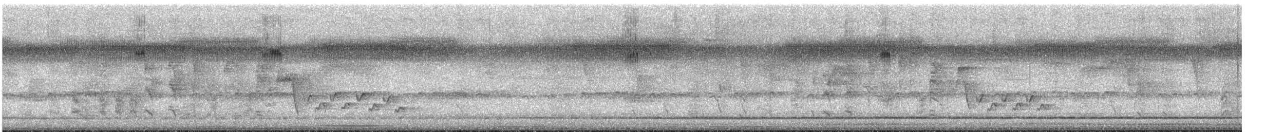 Southern House Wren - ML638344170
