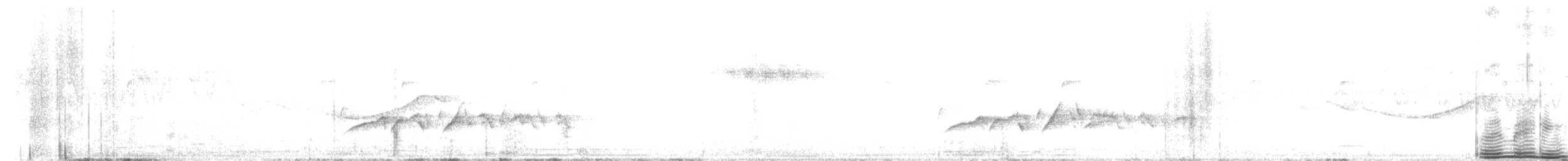 White-browed Bush-Robin - ML638344408