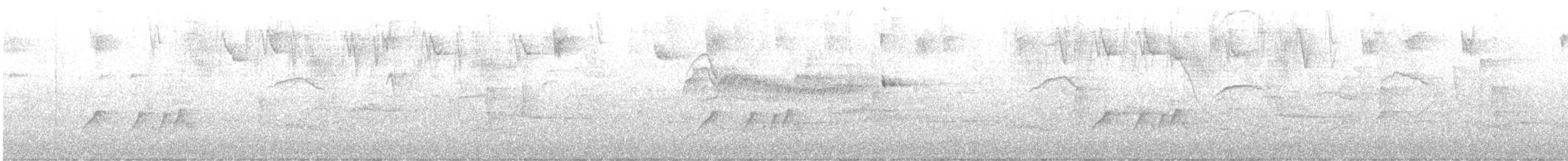 Rußkappen-Kleintyrann - ML638346190