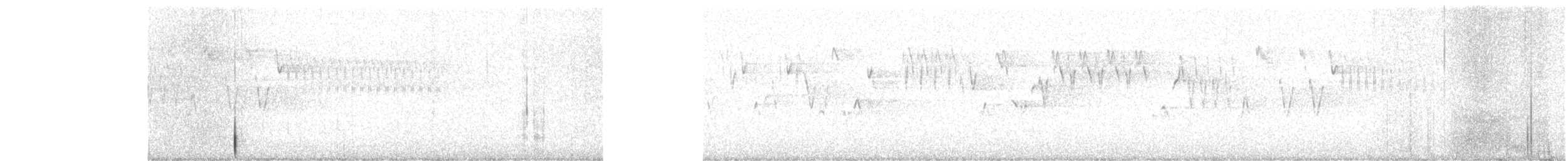 Pacific Wren - ML638346390