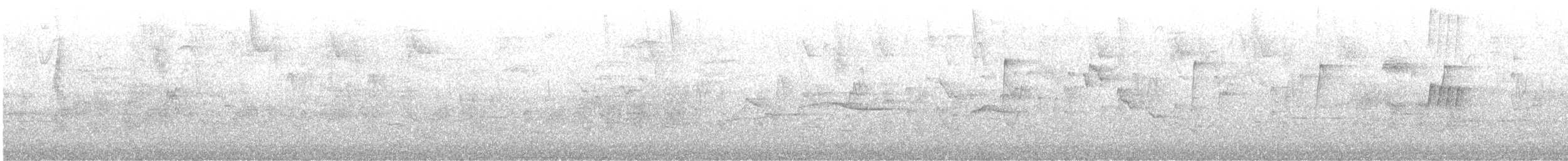 Trauerkönigstyrann - ML638346503