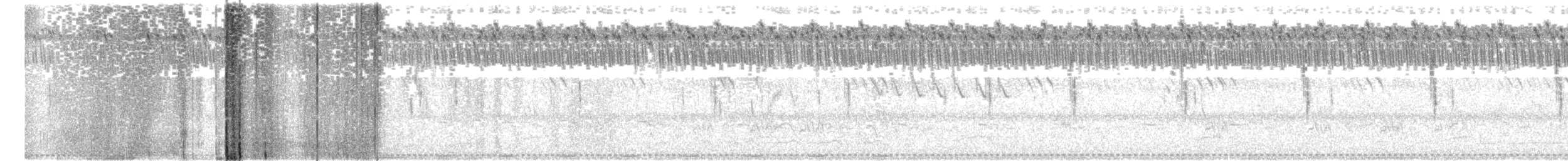 Barred Buttonquail - ML638348489