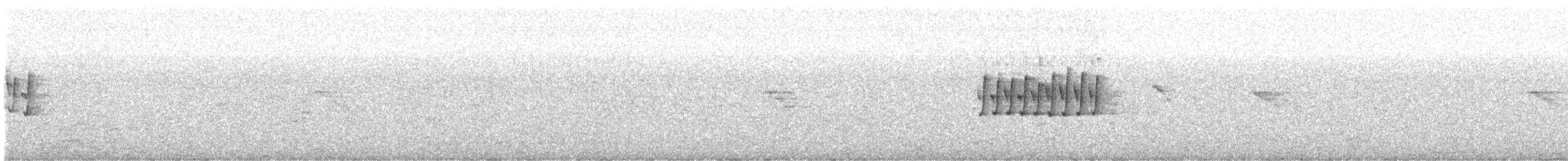 Western Bonelli's Warbler - ML638349270