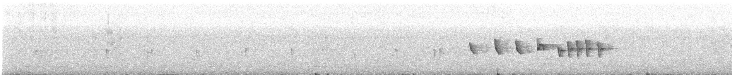 Iberian Chiffchaff - ML638349274