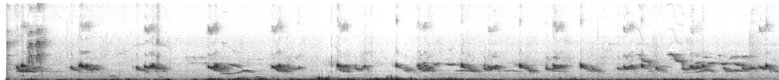 Pied Cuckoo - ML638350659