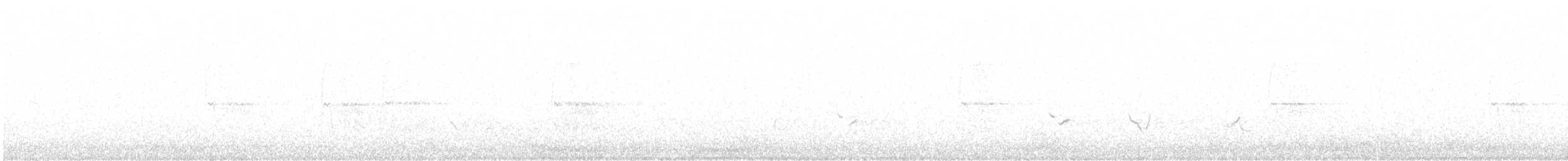 קיכלי נודד - ML638353212