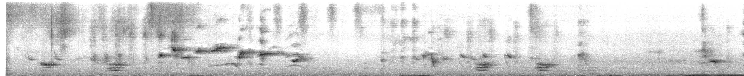 Spot-breasted Fantail - ML638354253