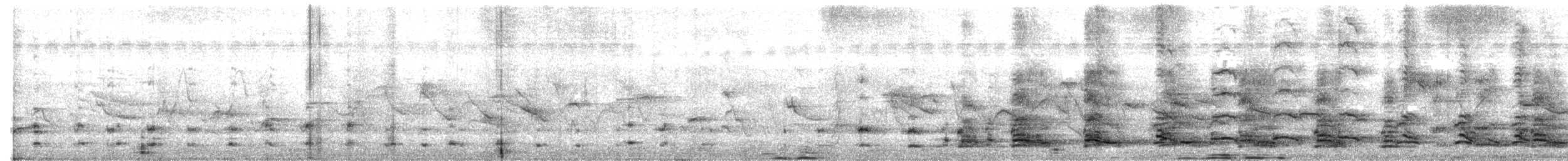 Red-naped Ibis - ML638354391