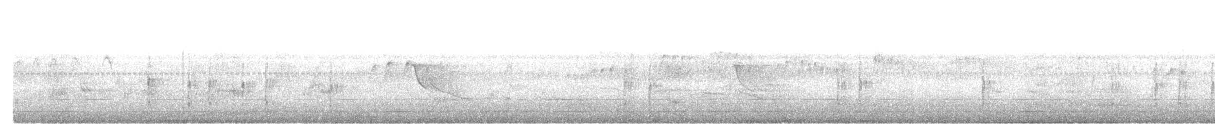 Cava İspinozu - ML638354743