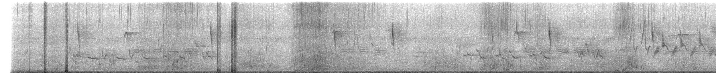 Troglodyte de Caroline - ML638355619