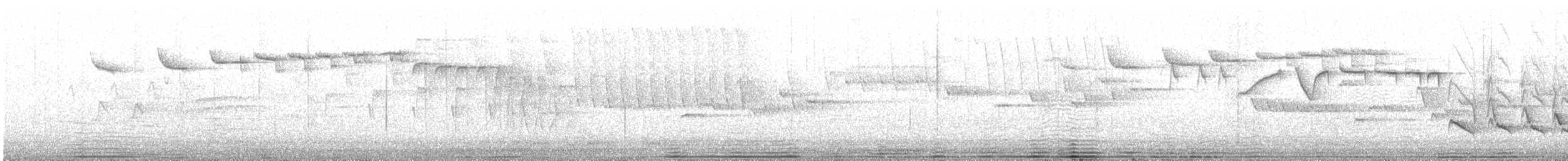 rubinfuglekonge - ML638355923