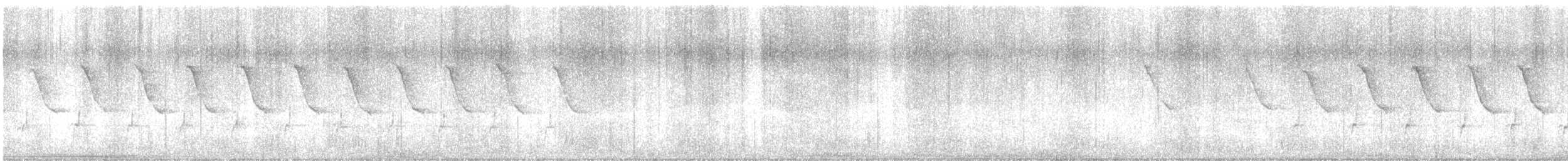 Troglodyte de Caroline - ML638356594