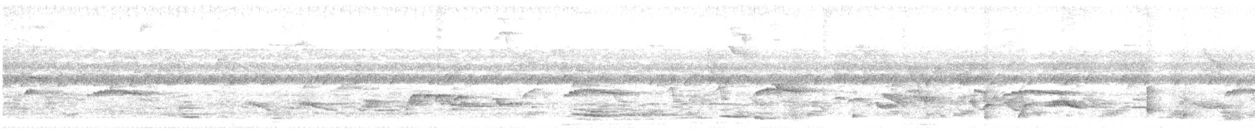 Тиранн-разбойник - ML638356878
