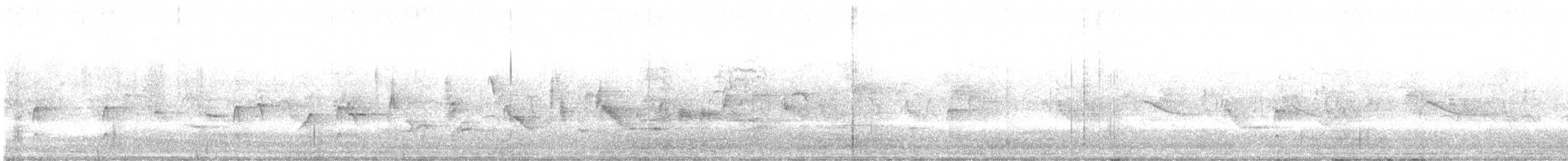Couch's Kingbird - ML638356965