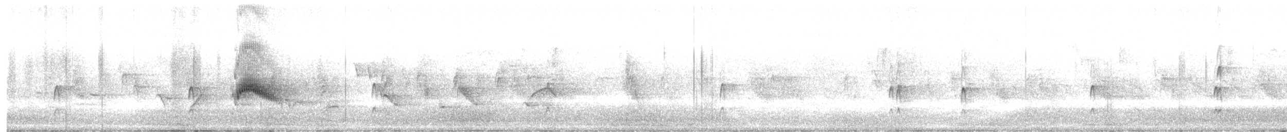 Couch's Kingbird - ML638357047
