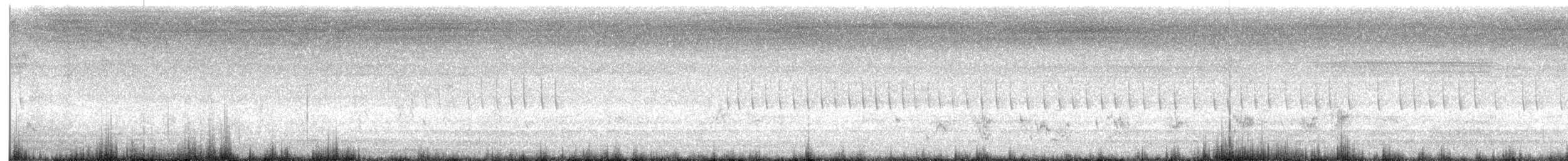 Prinia simple - ML638357066