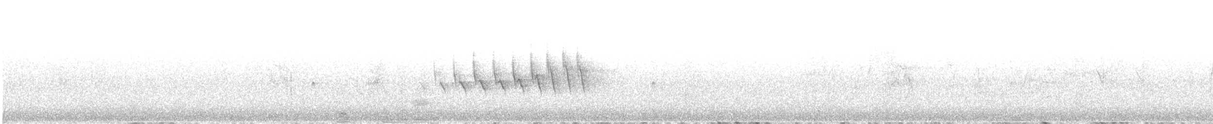 Grace's Warbler - ML638357420
