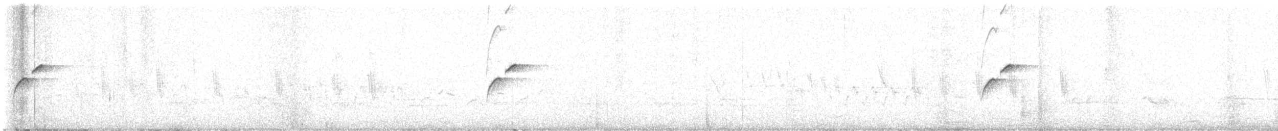 Western Flycatcher (Cordilleran) - ML638357592