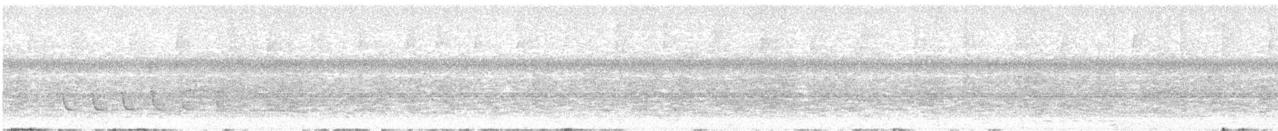 White-winged Becard - ML638357609