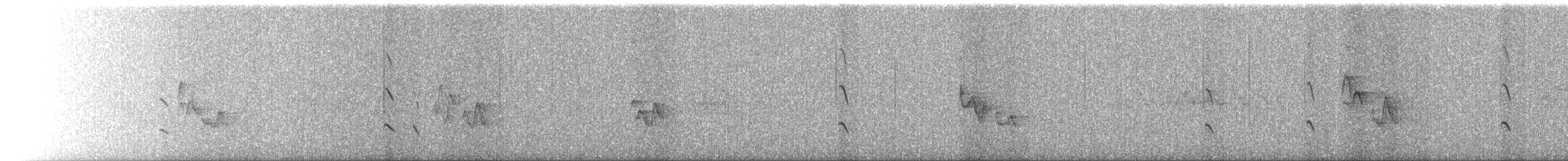 קיכלי נודד - ML638357654