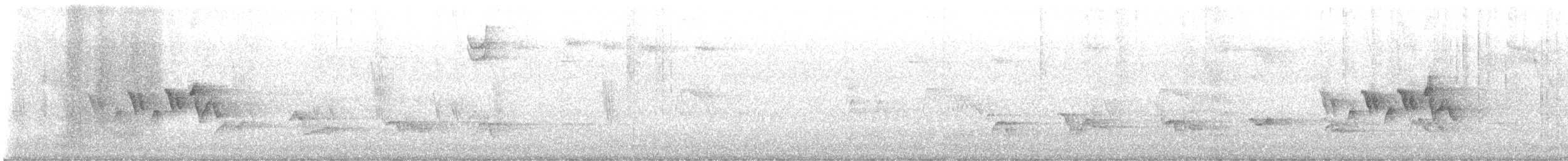 Magnolia Warbler - ML638357966