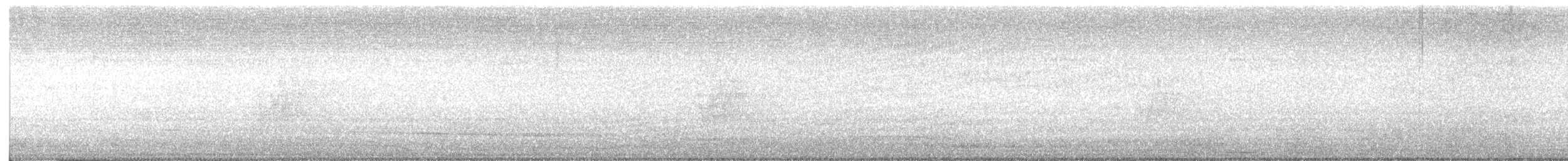 Savanna Nightjar - ML638358387
