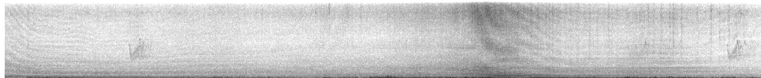 Savanna Nightjar - ML638358396
