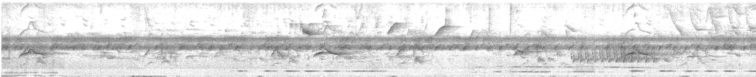 Rufous-and-white Wren - ML638358614