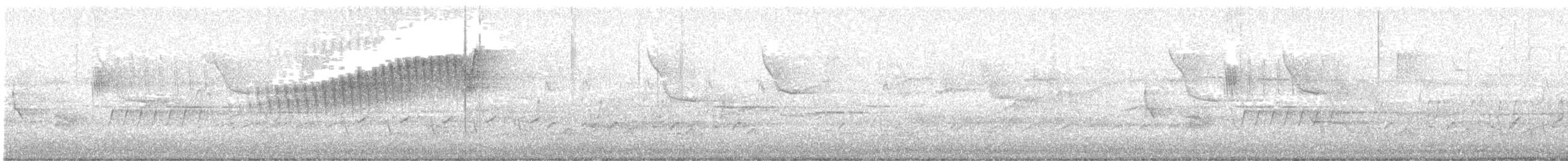 Parula Norteña - ML638358710