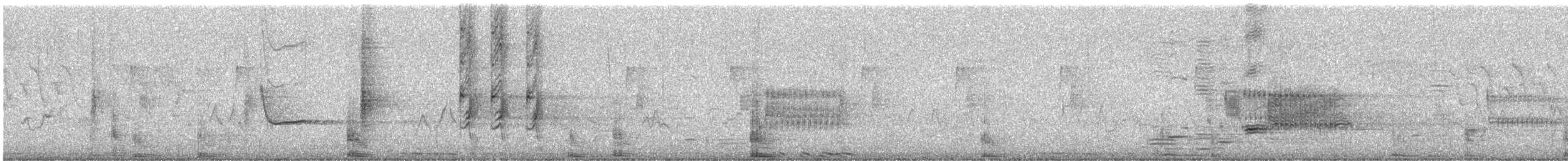 pygmérørdrum - ML638358859