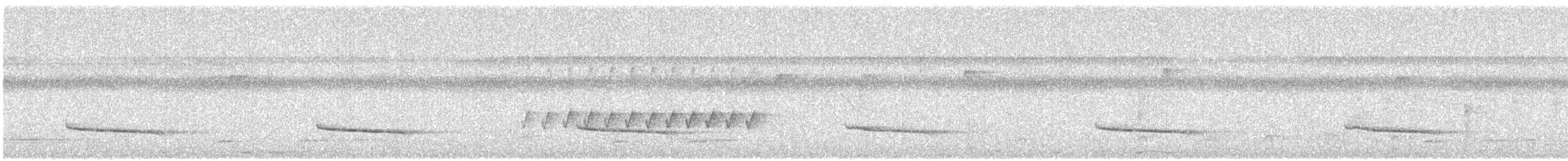 Long-billed Gnatwren - ML638359081