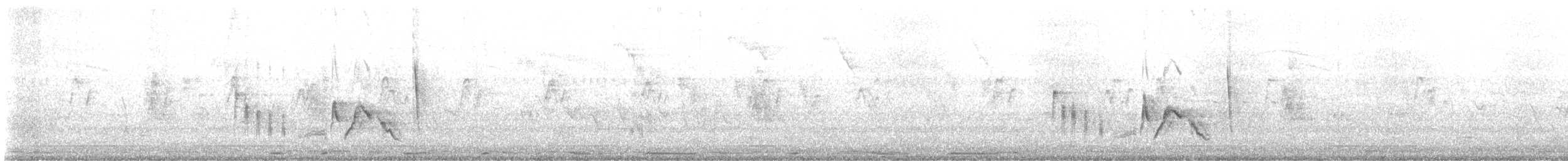 hvitøyevireo - ML638359292