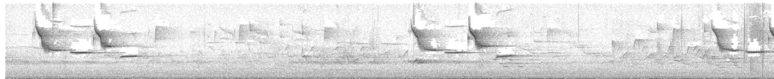 Carolina Chickadee - ML638359325
