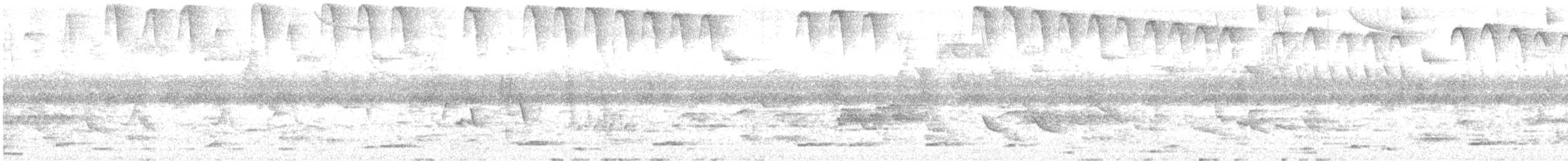 Troglodyte austral - ML638359815