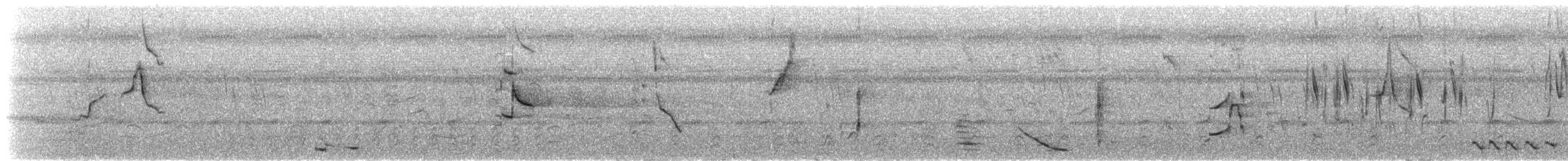 Graupapagei - ML638360045