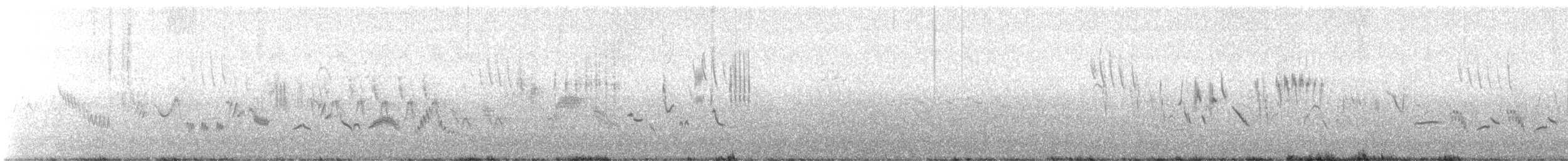 Pitxartxar nabarra - ML638360058