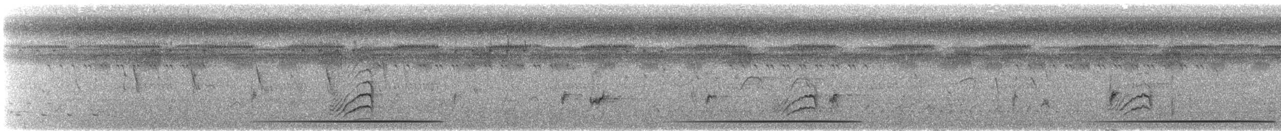 Lowland Sooty Boubou - ML638361243