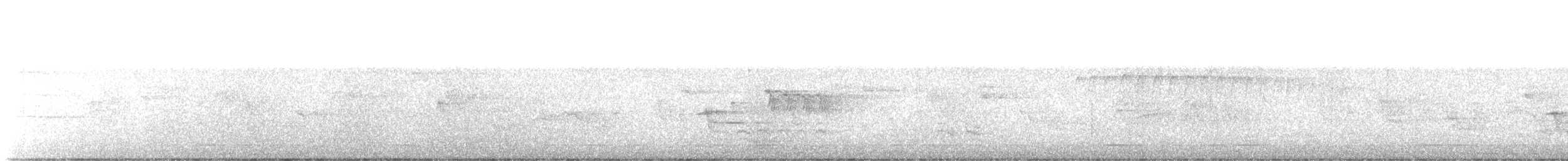 rødsidetovi - ML638361781