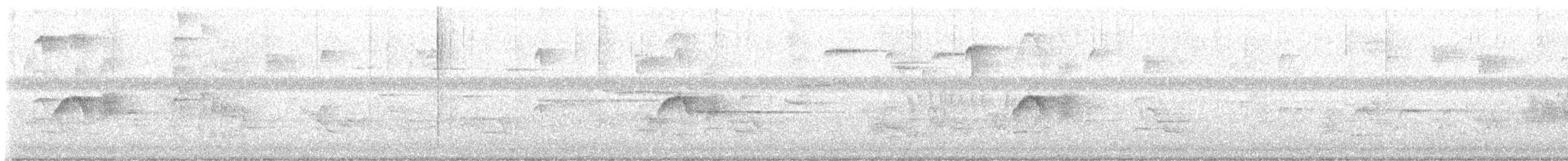 tyranovec domácí - ML638361800